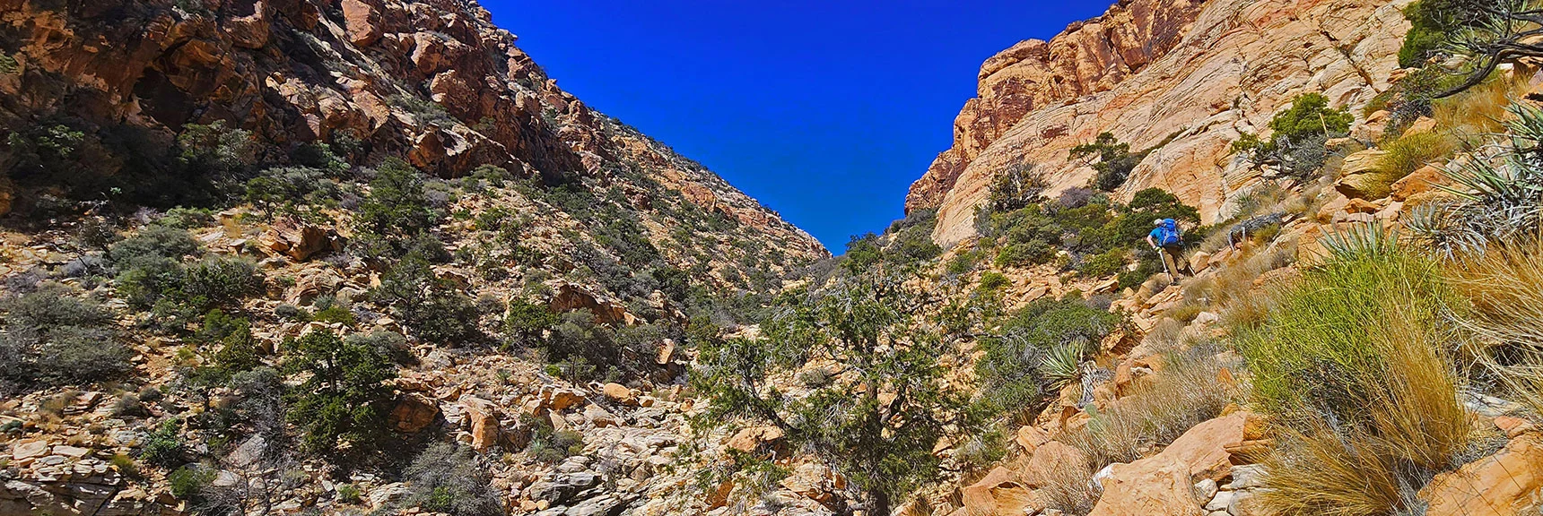 Blue Diamond Hill (R), Red Rock Canyon (Middle), Indecision Peak (L). | Monument Peak Summit | Rainbow Mountain Wilderness, Nevada
