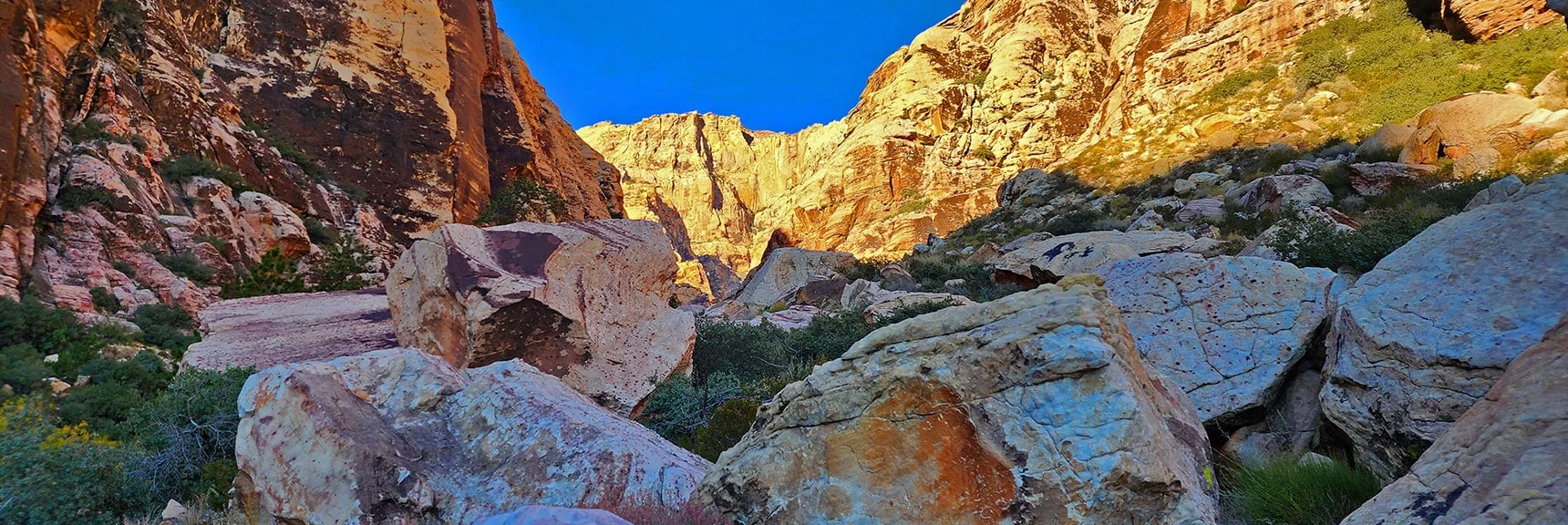 Blue Diamond Hill (R), Red Rock Canyon (Middle), Indecision Peak (L). | Monument Peak Summit | Rainbow Mountain Wilderness, Nevada