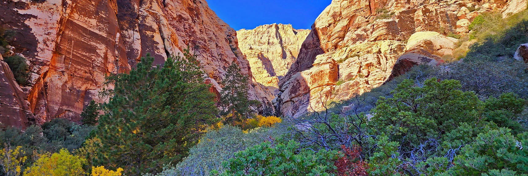 Blue Diamond Hill (R), Red Rock Canyon (Middle), Indecision Peak (L). | Monument Peak Summit | Rainbow Mountain Wilderness, Nevada