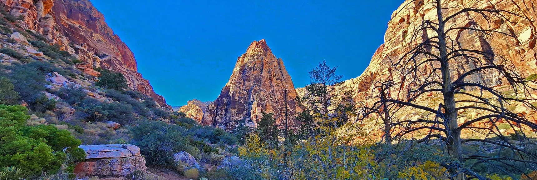 Blue Diamond Hill (R), Red Rock Canyon (Middle), Indecision Peak (L). | Monument Peak Summit | Rainbow Mountain Wilderness, Nevada