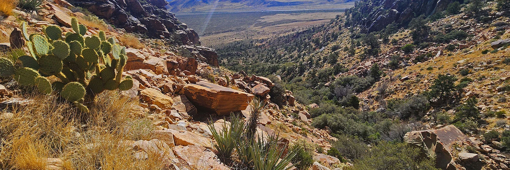 Blue Diamond Hill (R), Red Rock Canyon (Middle), Indecision Peak (L). | Monument Peak Summit | Rainbow Mountain Wilderness, Nevada