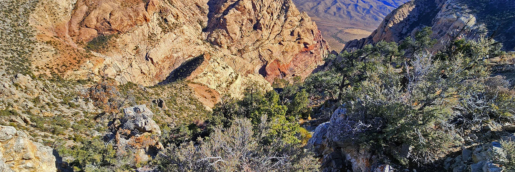 Blue Diamond Hill (R), Red Rock Canyon (Middle), Indecision Peak (L). | Monument Peak Summit | Rainbow Mountain Wilderness, Nevada