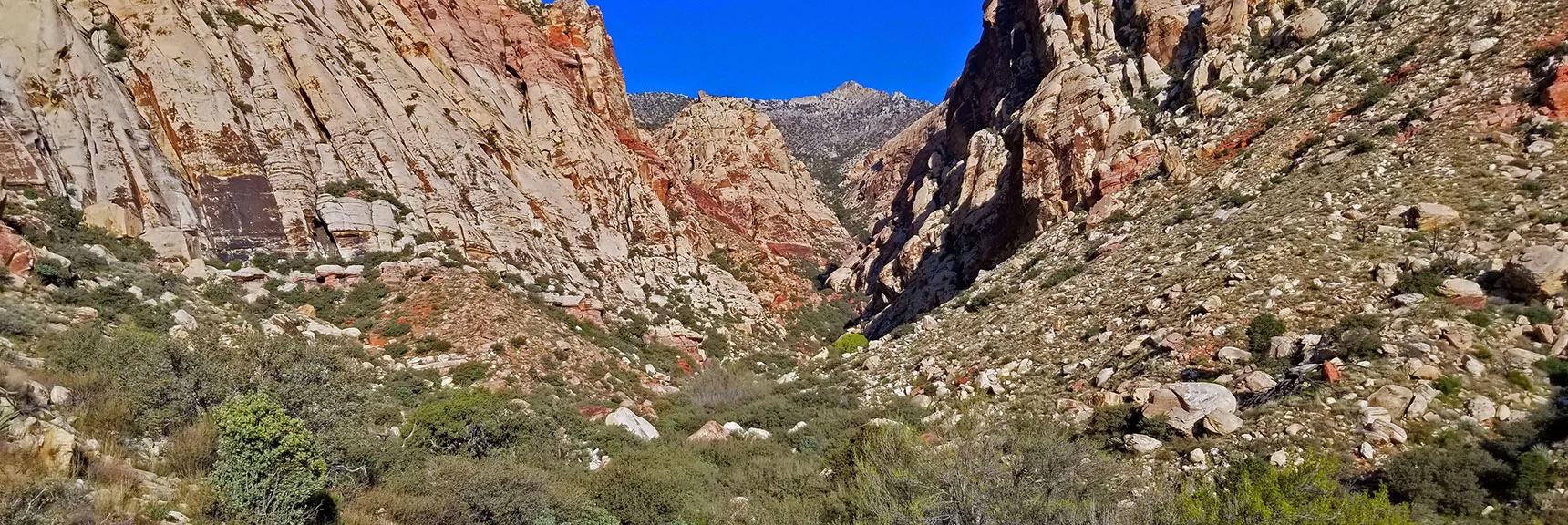 Blue Diamond Hill (R), Red Rock Canyon (Middle), Indecision Peak (L). | Monument Peak Summit | Rainbow Mountain Wilderness, Nevada