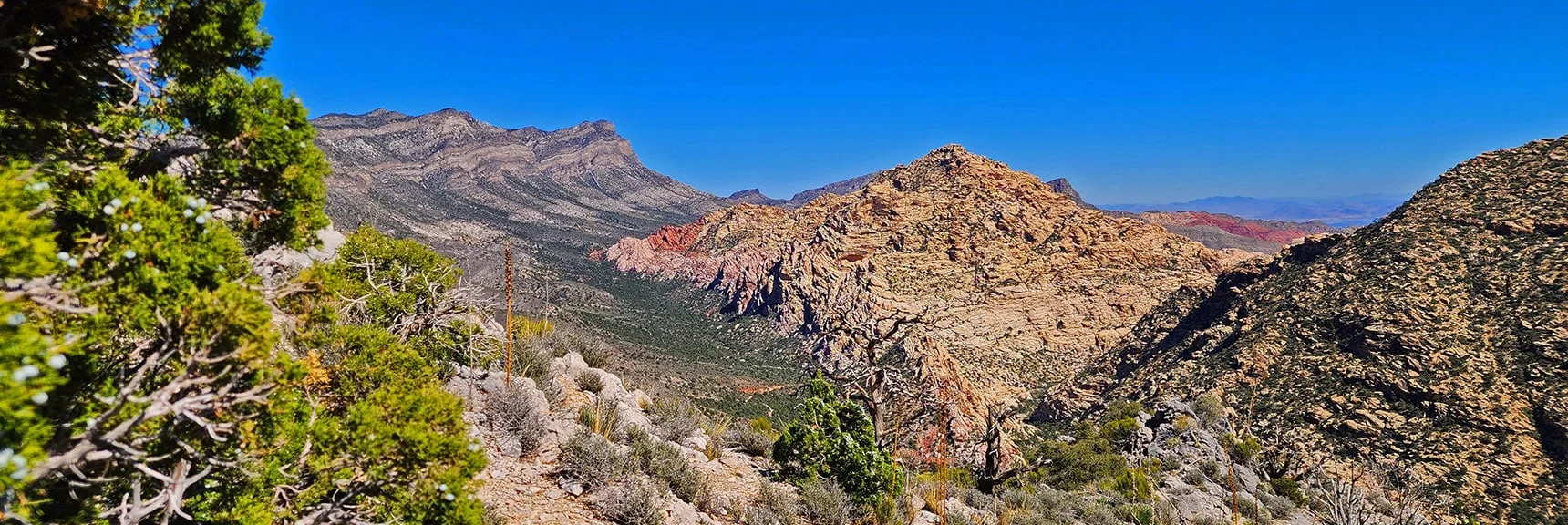 Blue Diamond Hill (R), Red Rock Canyon (Middle), Indecision Peak (L). | Monument Peak Summit | Rainbow Mountain Wilderness, Nevada