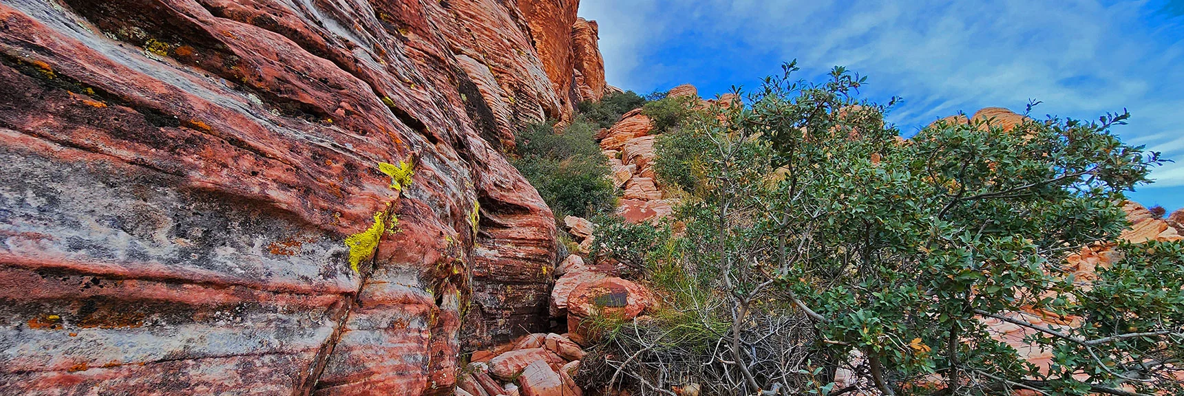 You Can Easily Navigate Brush Along the Way | Grand Staircase | Calico Basin, Nevada