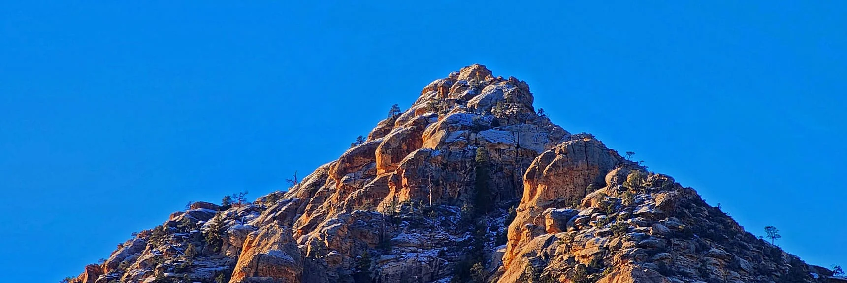 Scattered Pine Trees Make a Home on White Rock Mountain Summit | White Rock Mountain Loop Trail | Red Rock Canyon, Nevada
