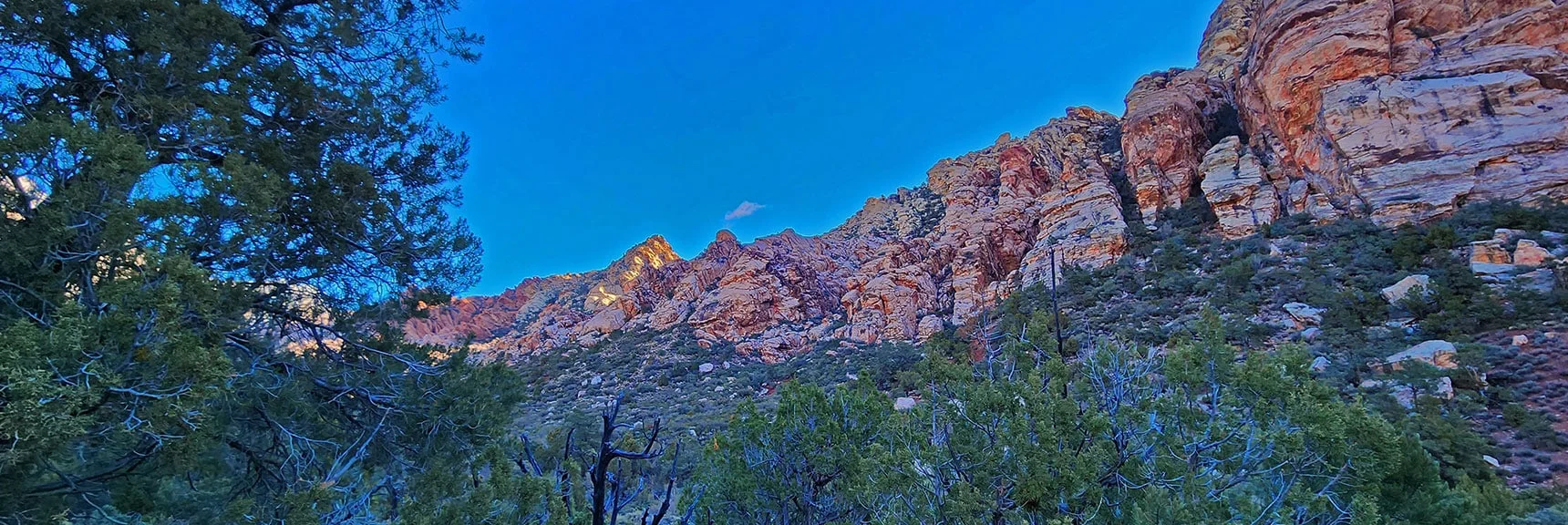 View Across White Rock Mountain Summit Line from the Northwest | White Rock Mountain Loop Trail | Red Rock Canyon, Nevada