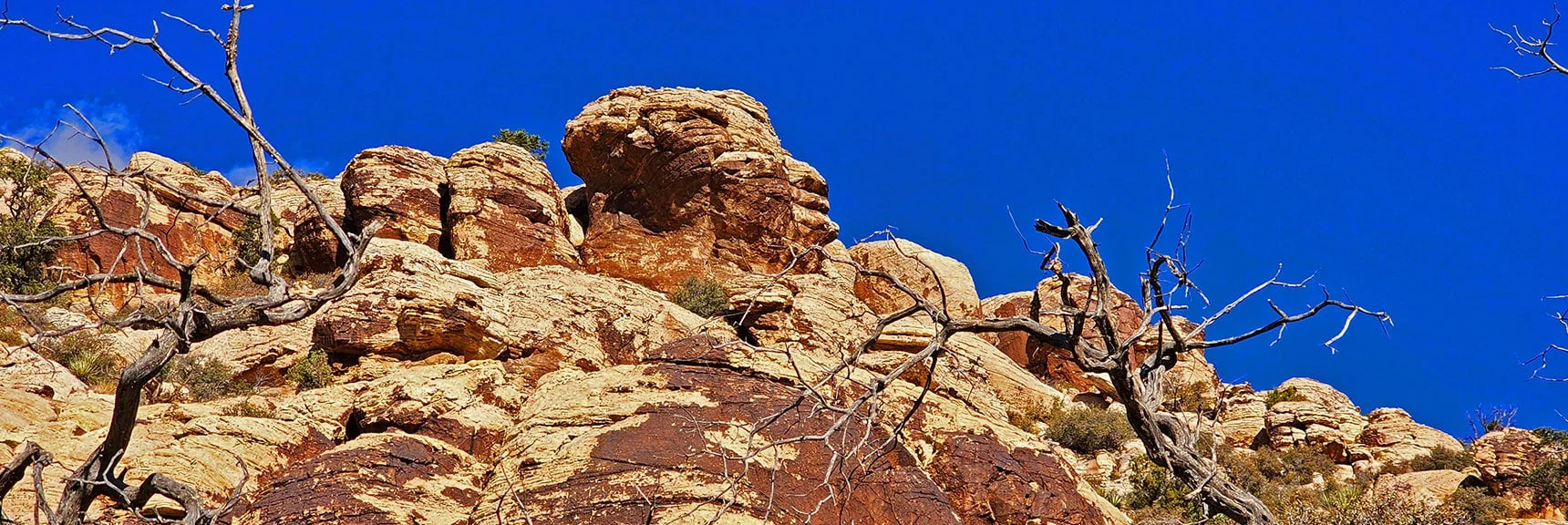 Rocky Area on Southeast Edge of White Rock Mountain | White Rock Mountain Loop Trail | Red Rock Canyon, Nevada