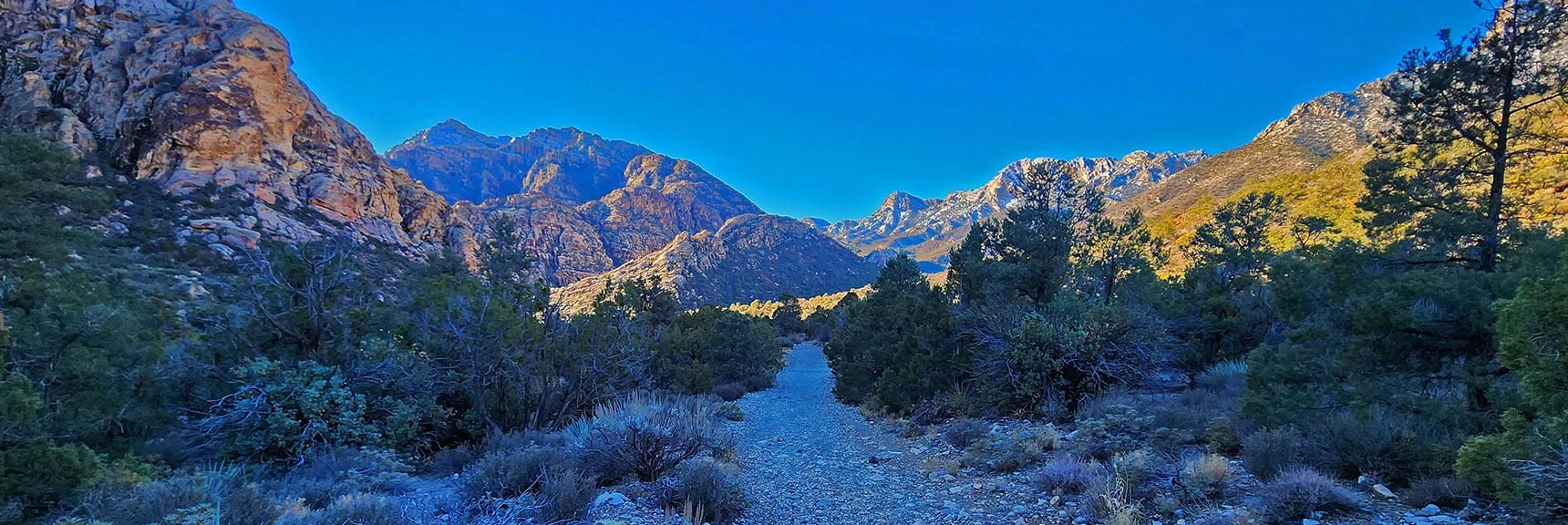 Three Great Wilderness Areas: Red Rock Canyon, La Madre & Rainbow Mountain Wilderness | White Rock Mountain Loop Trail | Red Rock Canyon, Nevada