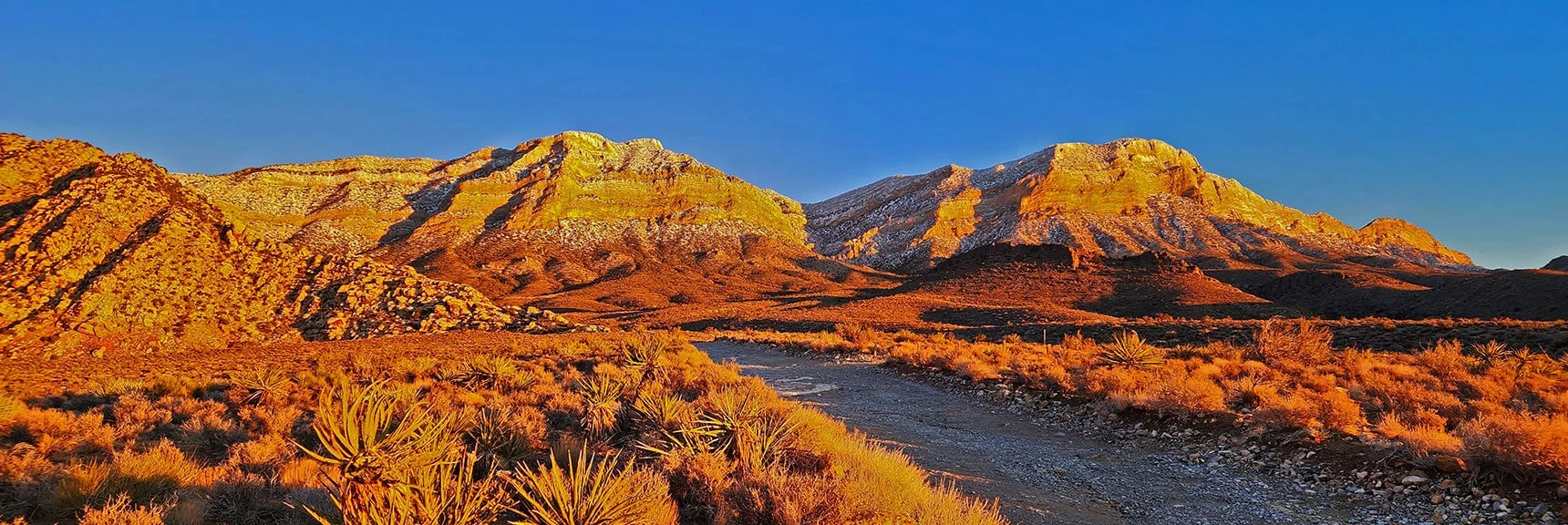 Snow-Dusted La Madre Mountains (El Bastardo & El Padre) at Sunrise | White Rock Mountain Loop Trail | Red Rock Canyon, Nevada