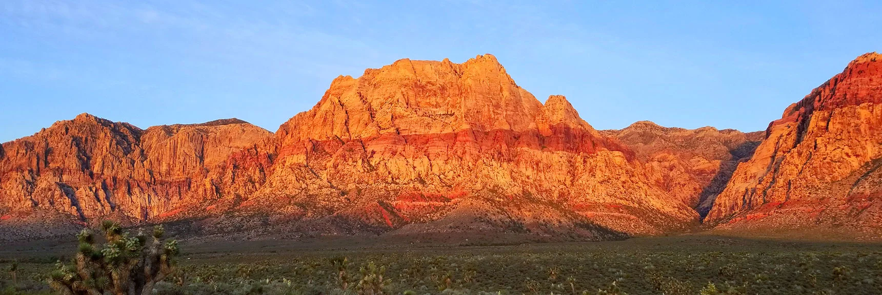 Mt Wilson | Rainbow Mountain Wilderness, Nevada