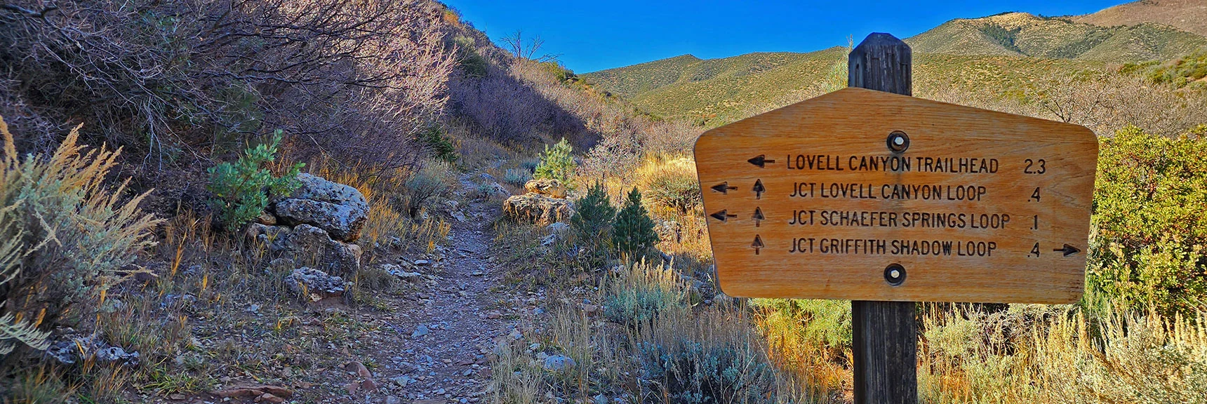 Trail Choices at Lovell Canyon Wash (base of rocky ridgeline seen earlier). | Lovell Canyon Loop Trail | Lovell Canyon Nevada