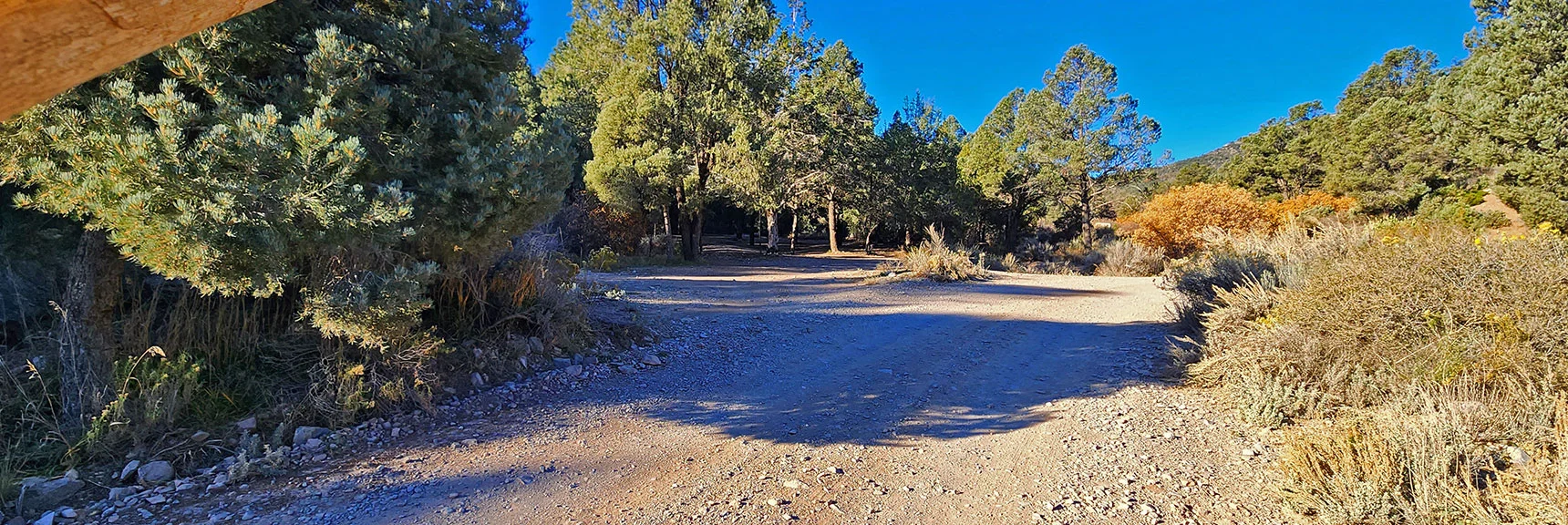 Walk (or drive) Lovell Summit Rd 1/4 Mile to Trailhead & Lovell Canyon Campground | Lovell Canyon Loop Trail | Lovell Canyon Nevada