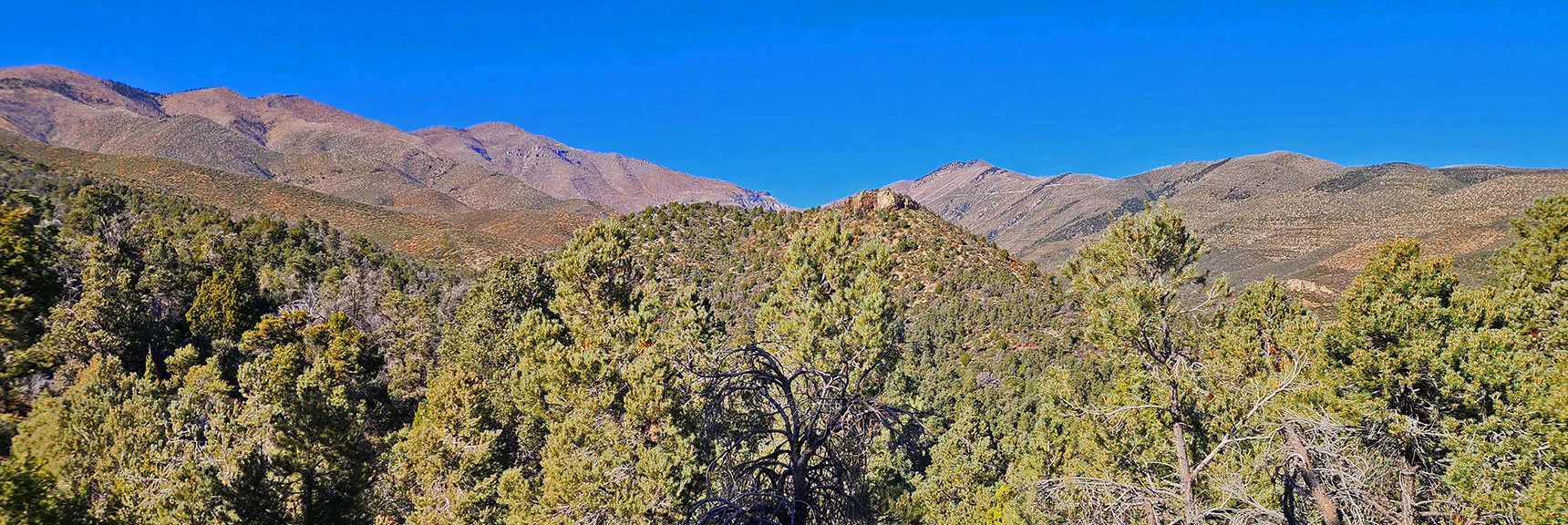 View Back to Handy Peak and Beyond While Descending Lovell Canyon Loop. | Lovell Canyon Loop Trail | Lovell Canyon Nevada