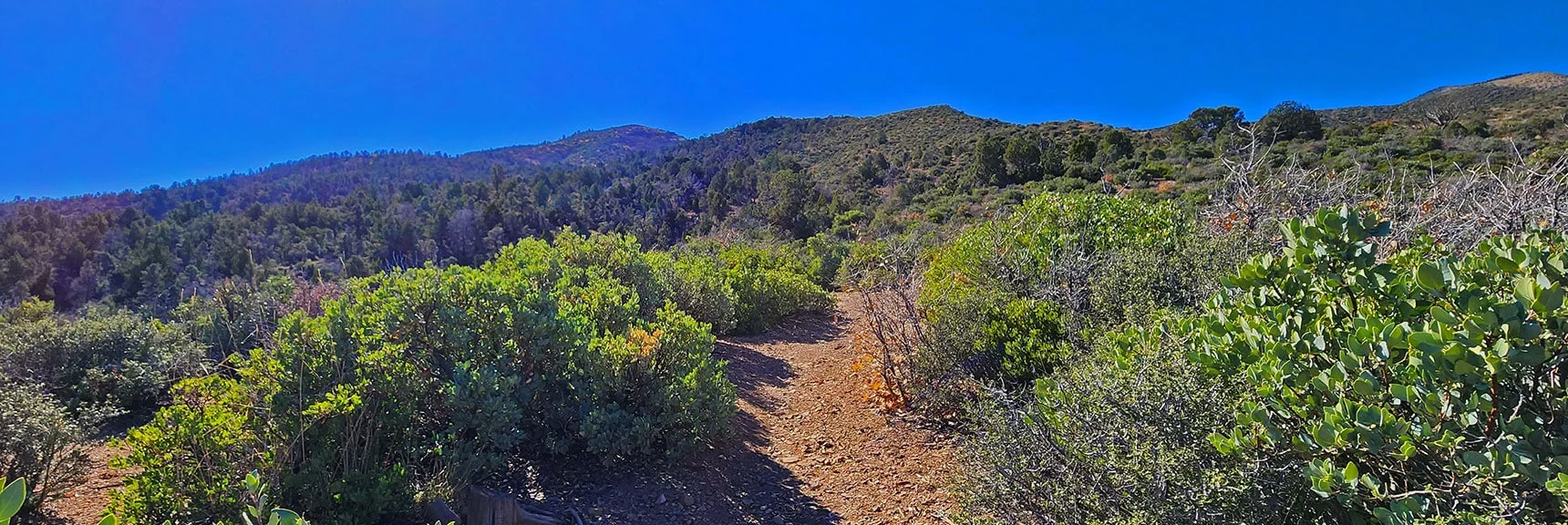 Continuing Up Lovell Canyon Loop to Its High Point. | Lovell Canyon Loop Trail | Lovell Canyon Nevada