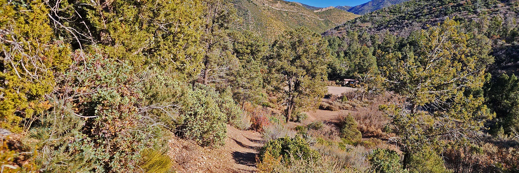 Descending Back to Lovell Canyon Trailhead and Campground. | Lovell Canyon Loop Trail | Lovell Canyon Nevada