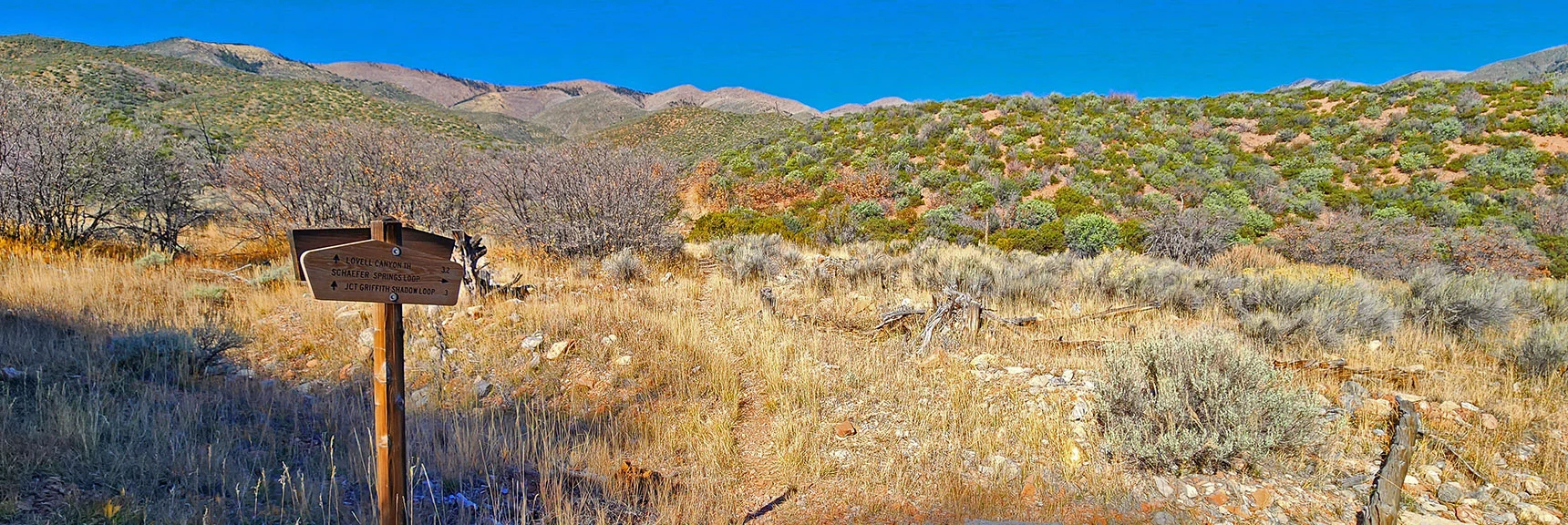 Schaefer Springs Loop Branches Off to Right | Lovell Canyon Loop Trail | Lovell Canyon Nevada