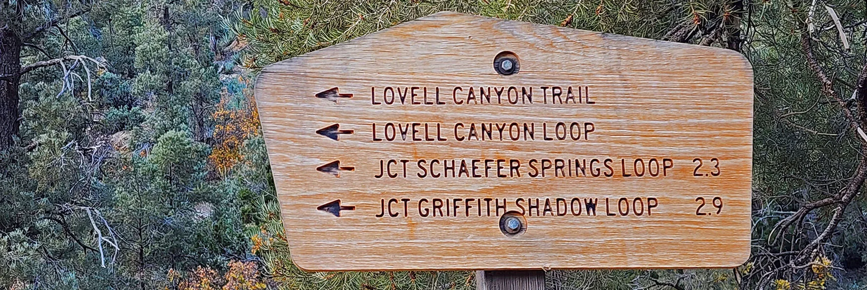 Trails Accessed from Lovell Canyon Trailhead. | Lovell Canyon Loop Trail | Lovell Canyon Nevada