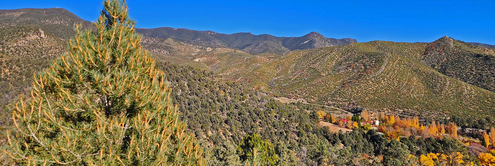 Wilson Ridge Afternoon Ascending View Begins. | Lovell Canyon Loop Trail | Lovell Canyon Nevada