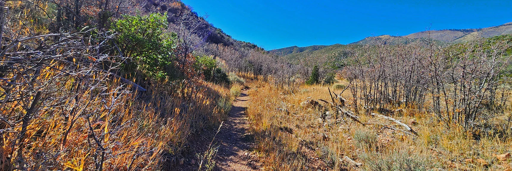 Lovell Canyon Loop Ascends Northern Base of Handy Peak. | Lovell Canyon Loop Trail | Lovell Canyon Nevada