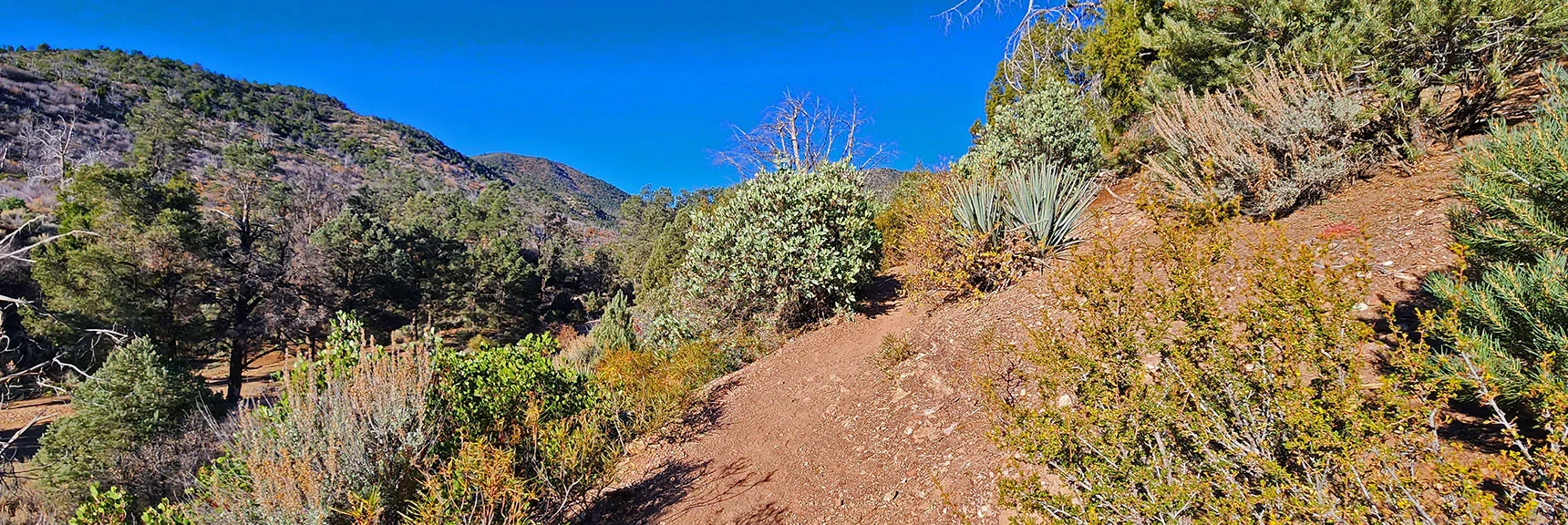 Ascending First Hill on Lovell Canyon Trail. Many Ascents/Descents Along the Way | Lovell Canyon Loop Trail | Lovell Canyon Nevada