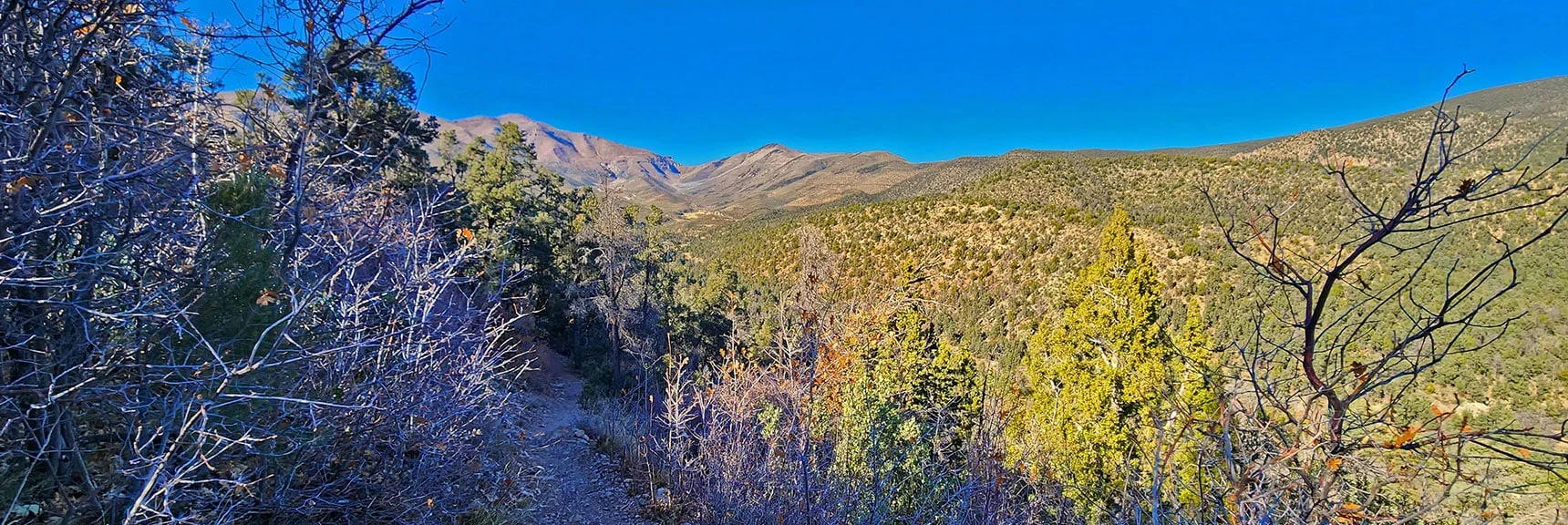 Back at First Hill. Afternoon View Up Lovell Canyon. | Lovell Canyon Loop Trail | Lovell Canyon Nevada