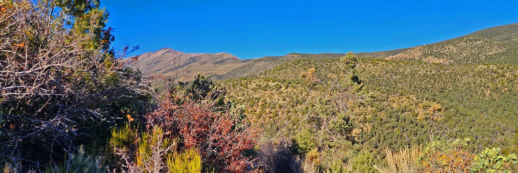 View to Harris Mountain: 10,014ft Northern High Point of Wilson Ridge. | Lovell Canyon Loop Trail | Lovell Canyon Nevada